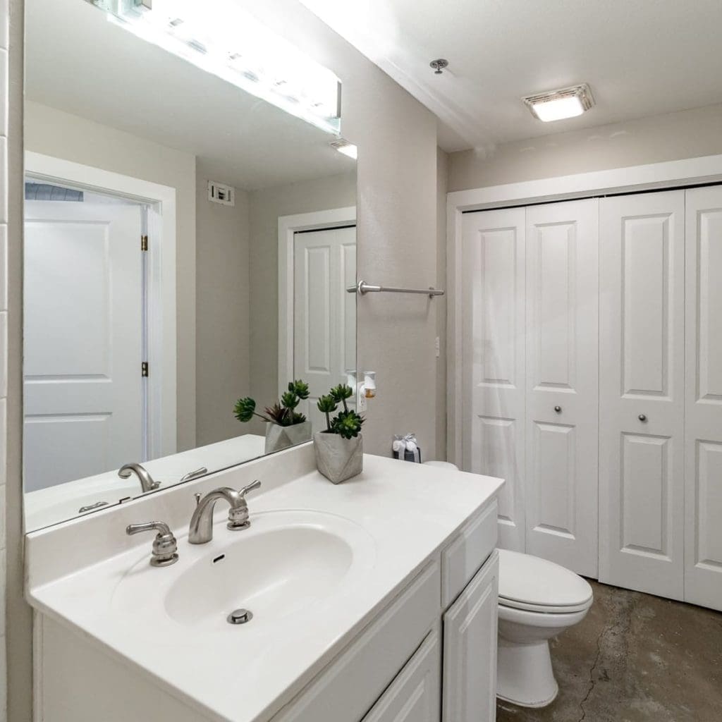 Apartments for Rent New Braunfels TX - The Landmark Lofts and Garden - Spacious Bathroom with a Wide Closet, Toilet, and a Sink with a Mirror