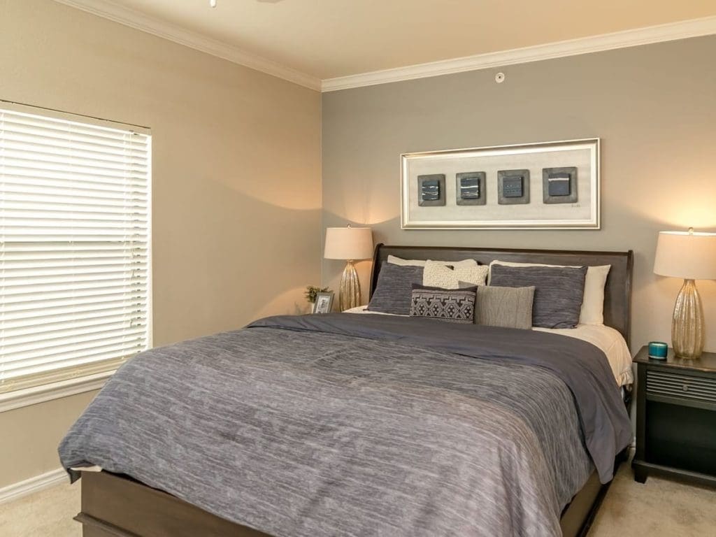 New Braunfels Apartments For Rent - Spacious Bedroom With High-Ceilings, Modern Decor, Carpet Flooring, And Window.