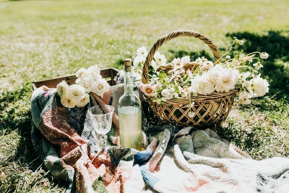Close,Up,Of,A,Picnic,Setup,Outside,In,Direct,Sun