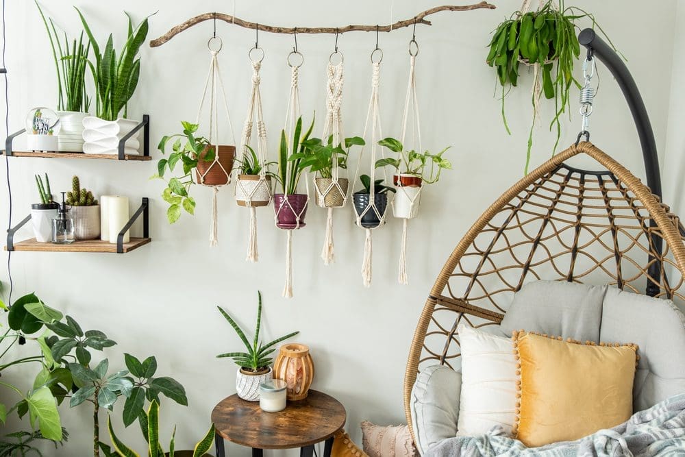 Six,Handmade,Cotton,Macrame,Plant,Hangers,Are,Hanging,From,A