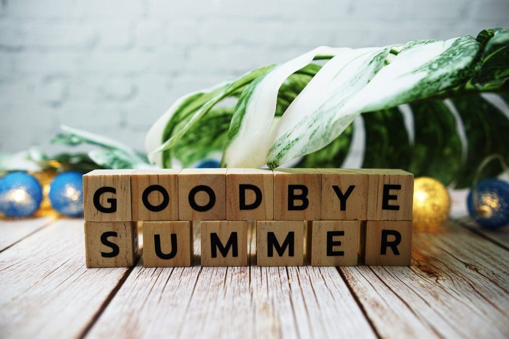 Goodbye,Summer,Alphabet,Letter,With,Monstera,Leave,Decoration,On,Wooden