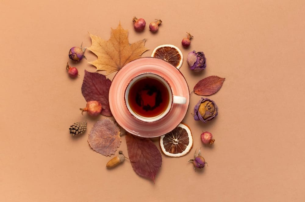 Autumn,Flat,Lay,Composition.,Cup,Of,Tea,,Autumn,Dry,Bright
